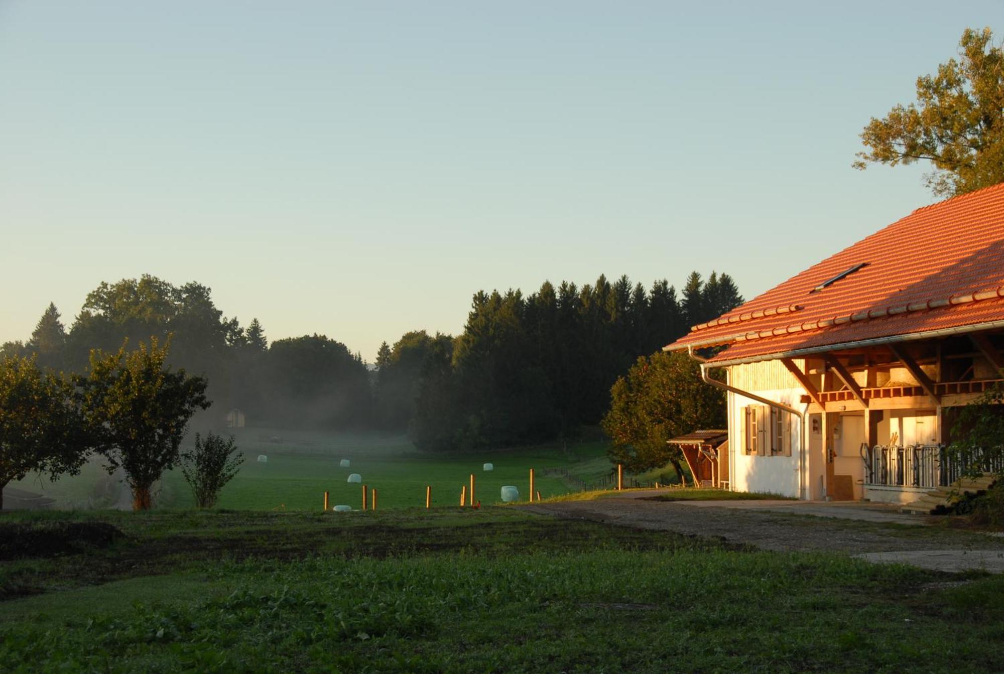 Zweilindenhof Hotel Seeshaupt Exterior photo